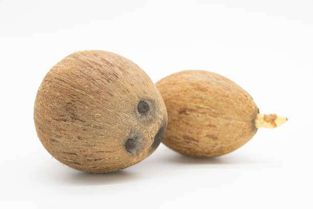 coconut or narcol close up isolated on white background, coconut water for drink