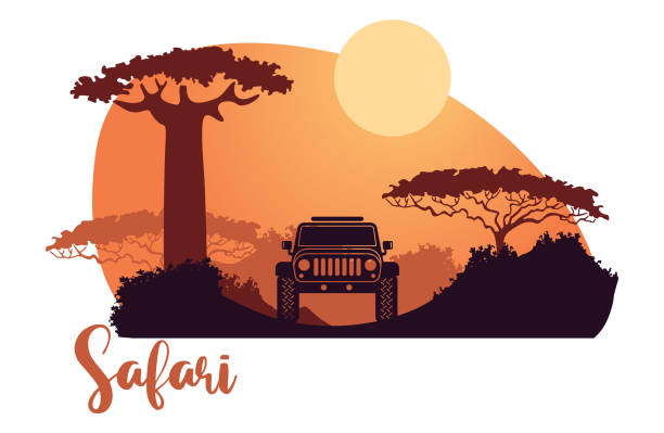 illustrations, cliparts, dessins animés et icônes de safari africain silhouetes avec un suv et coucher de soleil - african baobab