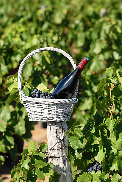 istock bottle of red wine 139474305