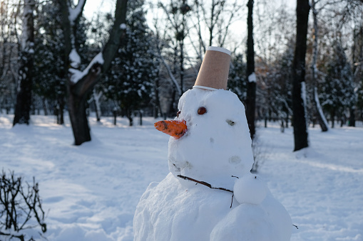 A snowman with acorns eyes and a carrot nose. Disposable paper cup instead of a cap. Evening golden hour in the city park.
