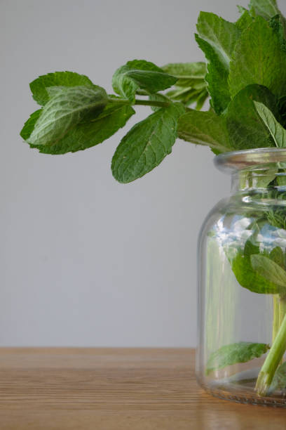 istock Mint bouquet in a glass jar on a wooden kitchen table. 1394744466