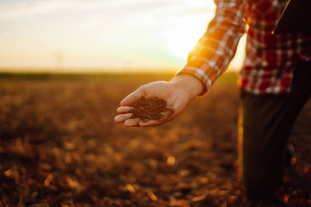 istock Farmer holding soil in hands close-up. 1394749064