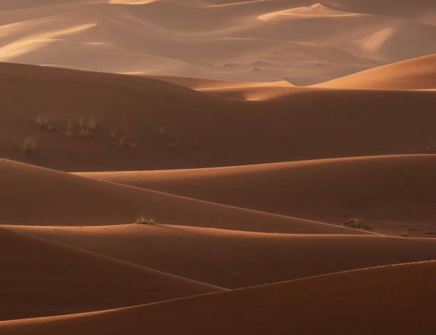istock Magical  places in Erg Chebbi, Morocco 1394750096