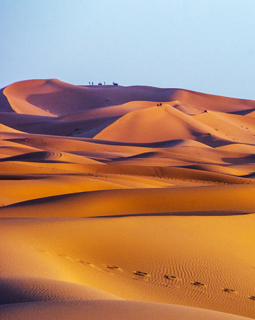 Panoramic desert dunes in shadow and light of sunrise to horizon