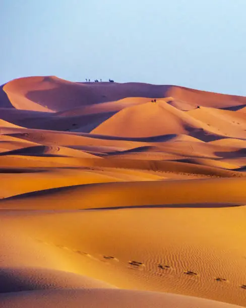 Beautiful Erg Chebbi, Morocco pictures