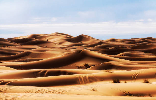 istock Magical  places in Erg Chebbi, Morocco 1394750348