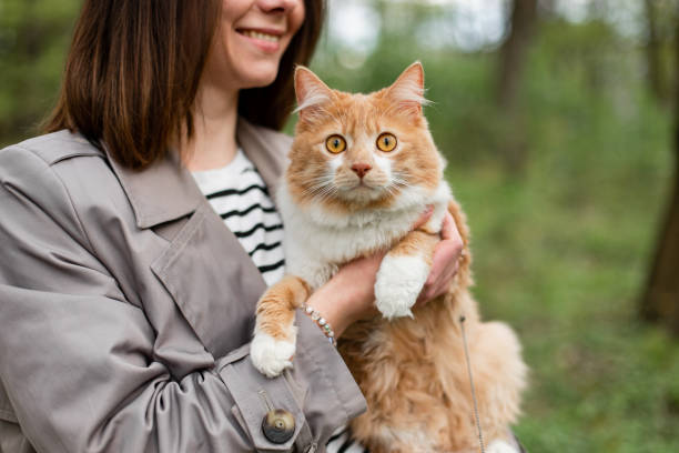 istock A woman holds her cat in a park in a springtime 1394750502
