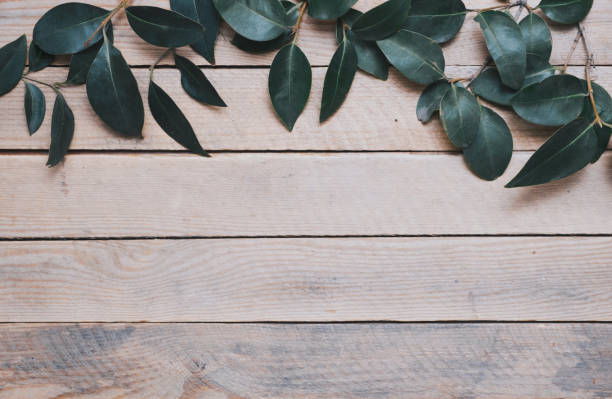 istock Green leaves framing on wooden floors. Copyspace background 1394753463