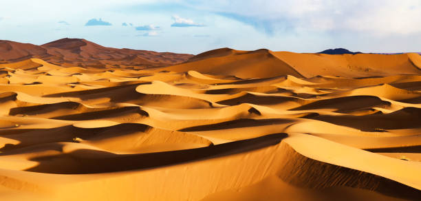istock Erg Chebbi, Morocco pictures 1394755611