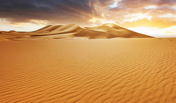 istock Erg Chebbi, Morocco pictures 1394755660