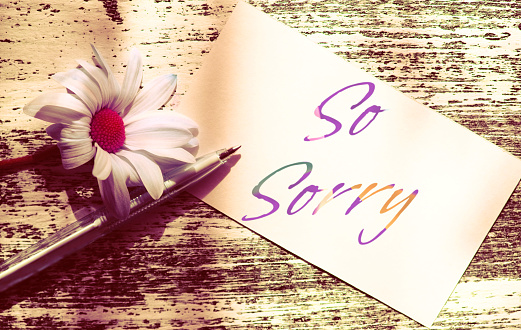 So Sorry text.  Note and summer flower on wooden table.  Love concept, Light and shadow. Single purple chamomile . Vintage effect