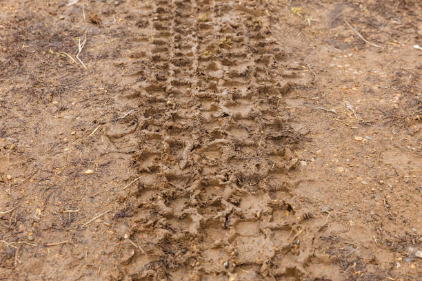 istock Car wheel track in the mud 1394755790