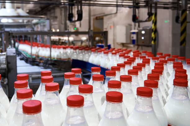Row of bottles with pasteurized milk on conveyor belt Row of bottles with pasteurized milk closed by red caps on conveyor of production line at food manufacturing plant closeup pasteurization stock pictures, royalty-free photos & images