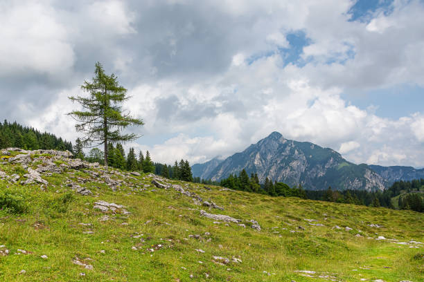 Beautiful summer landscape in Austria stock photo