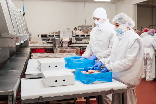 현대 식품 공장에서 육류를 포장하고 절단하는 자동화 된 생산 라인. 육류 가공 장비. - food processing plant poultry chicken raw 뉴스 사진 이미지