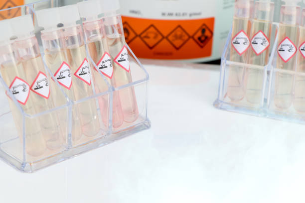 istock Corrosive  chemicals in test tubes and symbol 1394766614