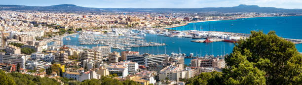 широкая панорамная фотография залива пальма-де-майорка - majorca yacht palma marina стоковые фото и изображения