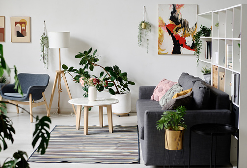 Image of modern living room with sofa and coffee table and green plants decorating the room