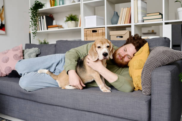 istock Man resting at home with dog 1394772048