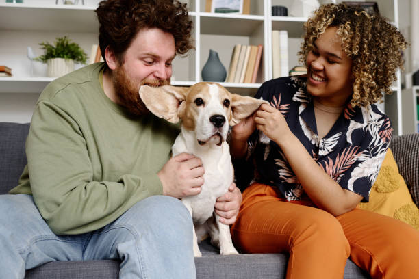 istock Couple having fun with dog 1394772057