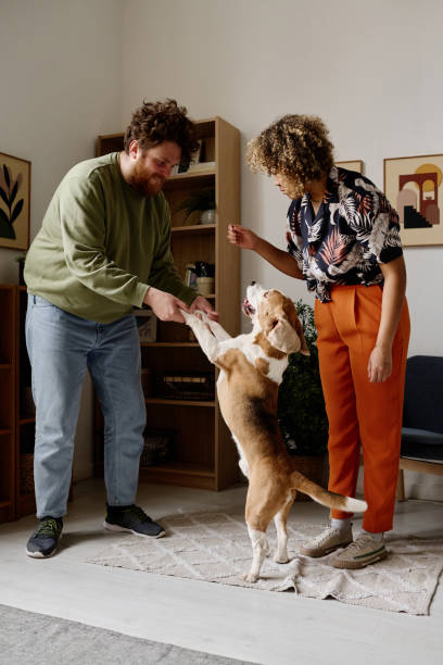 istock Couple training their dog at home 1394772083
