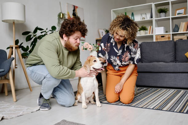 istock Couple playing with dog at home 1394772097