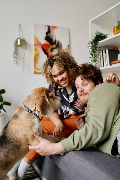 istock Happy couple communicating with dog 1394772128
