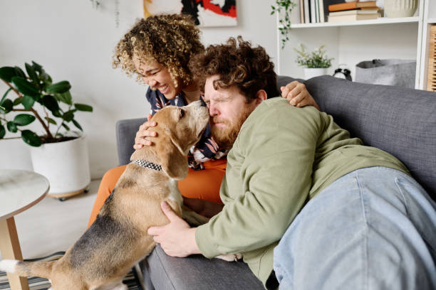 istock Cute pet loving his owners 1394772150