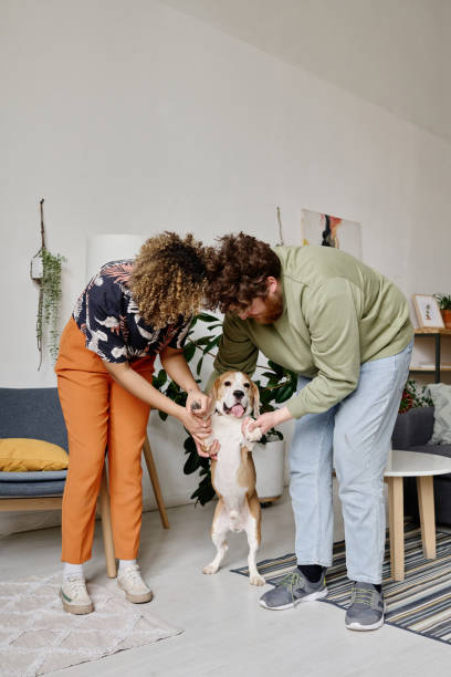 istock Child-free couple getting a dog 1394772161