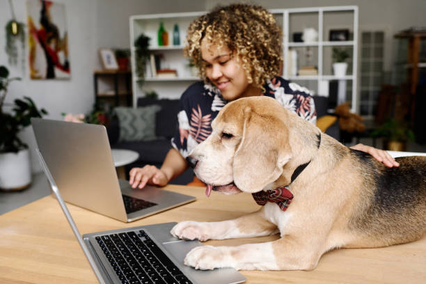 istock Dog working on laptop with owner 1394772211