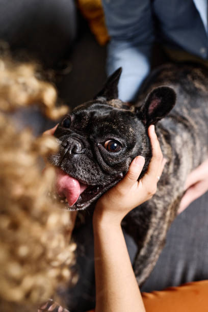 istock Owner caressing her little dog 1394772256