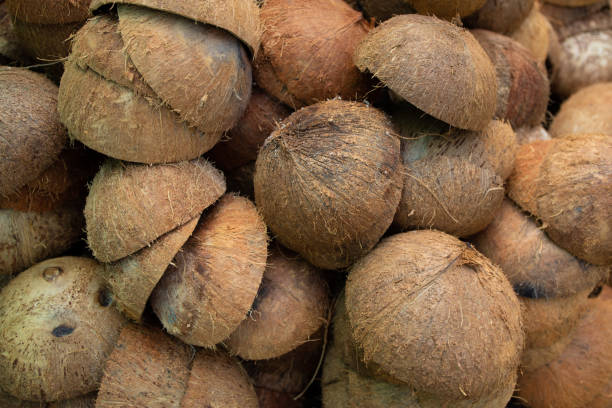 istock Several coconut shells stacked on top of each other 1394774655