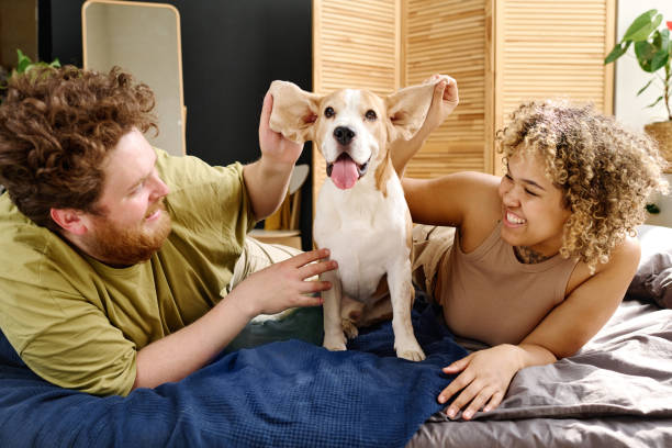 istock Young couple having fun with dog 1394774851