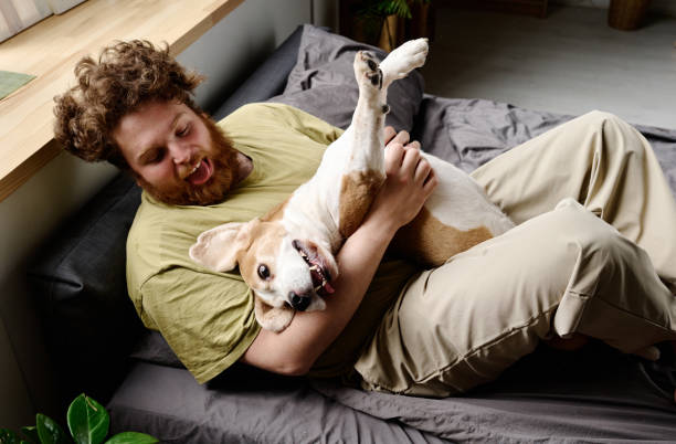 istock Man in bed playing with dog 1394774961