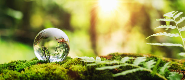 istock globe glass on grass with sunshine. environment concept 1394781337