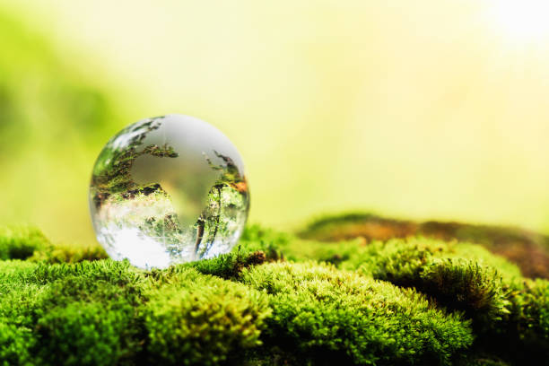 istock globe glass on grass with sunshine. environment concept 1394781339