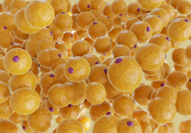 cells
