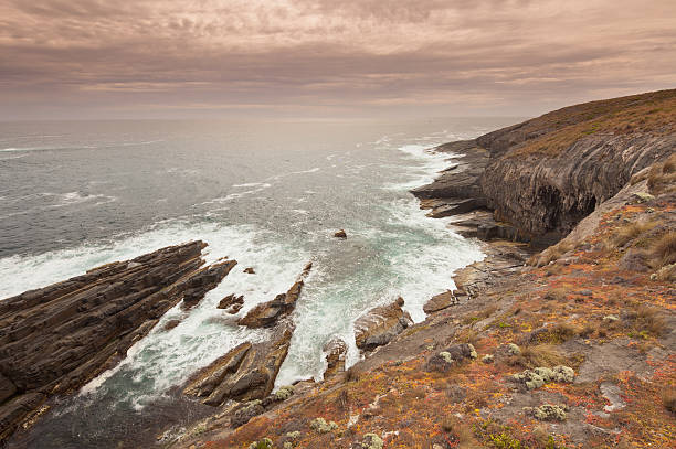 Rugged Coastline of South Australia stock photo