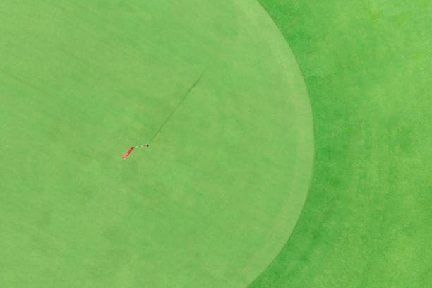 A professional golfer is putting on green