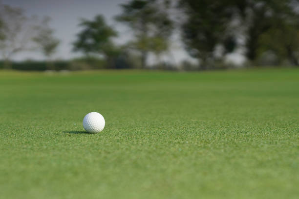 istock Golf ball on a green grass with blank copy space 1394787763