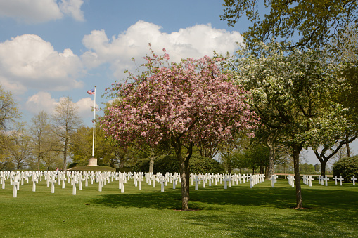 Margraten:  Dutch cemetery with field of honor. American soldiers are buried there.\nFeelings of freedom and honor and hope.