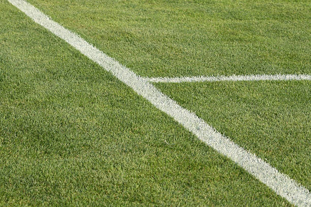 istock Natural green lawn with markup 139479357