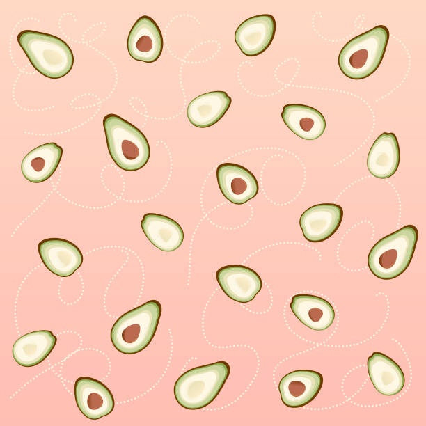 avocado 1 vector art illustration