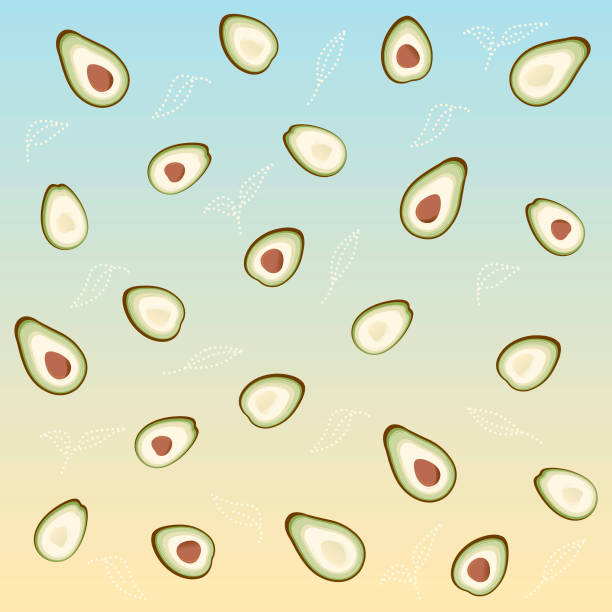 avocado 2 vector art illustration