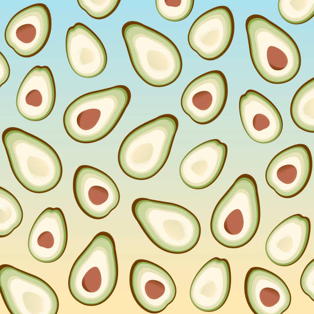 avocado 3 vector art illustration