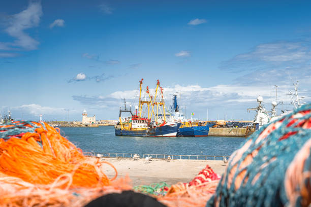 Large fishing boats moored in Howth harbour seen through blurred nets