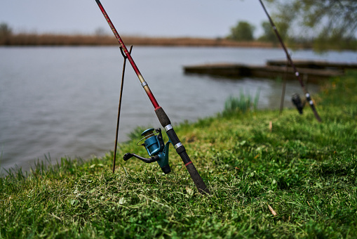 Fishing by the lake, caught fish, fishing rod