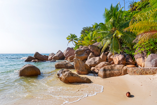 The dreamlike mixture of an offshore island, impressive granite cliffs, turquoise blue sea and impressive coconut palms forms a picture book backdrop. Petite Anse Kerlan is located on the northwestern tip of Praslin, next to Anse Kerlan and Anse Georgette. The beach is also part of the Constance Lemuria Resort and counts mainly hotel guests among its visitors. Praslin is the second largest island of the Seychelles, lying 44 km (27 mi) northeast of Mahé. Praslin has a population of around 7,533 people and comprises two administrative districts: Baie Sainte Anne and Grand' Anse. The main settlements are the Baie Ste Anne, Anse Volbert and Grand' Anse. Seychelles, officially the Republic of Seychelles, is an archipelago country in the Indian Ocean. The Granitic Seychelles are the islands in the Seychelles which lie in central position on the Seychelles Bank and are composed of granite rock. They make up the majority of the Inner Islands, which in addition include the coral islands along of the rim of the Seychelles Bank, namely Bird Island and Denis Island.