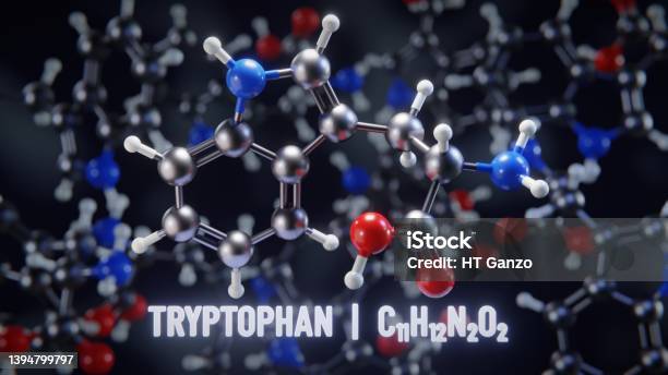 Tryptophan Molecular Structure 3d Illustration Stock Photo - Download Image Now - Molecule, Amino Acid, Three Dimensional