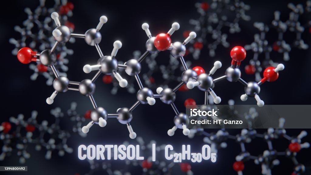 コルチゾール分子構造3dイラストレーション コルチゾールのストックフォトや画像を多数ご用意 コルチゾール, 分子, 3D iStock